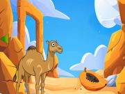Jeu Camel à la recherche de son jeune en ligne
