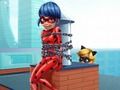 Jeu Coccinelle de sauvetage Cat Noir  en ligne