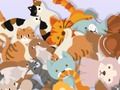 Jeu Trouver The Kitty  en ligne