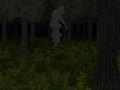 Jeu Forêt en cage  en ligne
