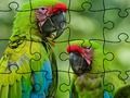 Jeu Puzzle Rain Forest  en ligne