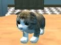 Jeu Simulateur de chat: Kitty Craft!  en ligne