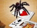 Jeu Araignée sauteuse  en ligne
