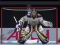 Jeu Tournoi de hockey  en ligne