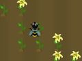 Jeu Récolte de nectar  en ligne