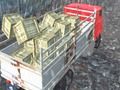 Jeu Conducteur de camion Offroad  en ligne