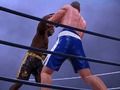 Jeu Boxe Club  en ligne