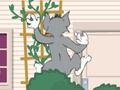 Jeu Tom und Jerry: Wasserbomben Wahnsinn en ligne