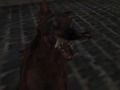 Jeu Armée zombie nazie  en ligne