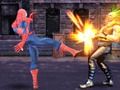 Jeu Spider-Man : Combats de rue  en ligne