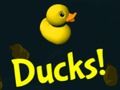 Jeu Canards!  en ligne