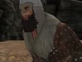 Jeu Vikings en ligne