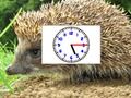 Jeu Horloges Pics Puzzle  en ligne