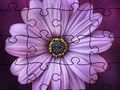 Jeu Puzzle Jigsaw Summer  en ligne