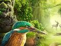 Jeu Île inconnue  en ligne