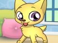 Jeu Studio pour animaux de compagnie princesse  en ligne