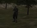 Jeu Agence FPS: Forest  en ligne