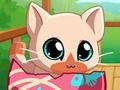 Jeu Mon chat de poche en ligne
