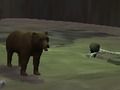 Jeu Ours  en ligne
