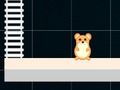 Jeu Hamster intelligent : pair et impair  en ligne