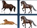 Jeu Problème de mémoire de l'animal  en ligne