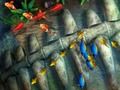 Jeu Roi de la pêche  en ligne