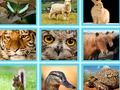 Jeu Par exemple quiz pic en ligne