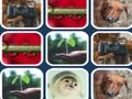 Jeu Problème de mémoire  en ligne