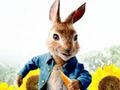 Jeu Pierre Lapin : Problèmes dans le labyrinthe  en ligne