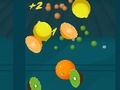 Jeu Fruit Master 2 en ligne