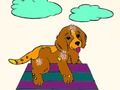 Jeu Livre de coloriage Animaux  en ligne