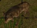 Jeu Chasseurs d'animaux  en ligne