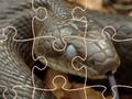 Jeu Serpents mystérieux : puzzle  en ligne