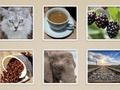 Jeu Diapositive d'image  en ligne
