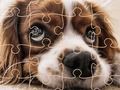 Jeu Puzzle de chiens drôles  en ligne