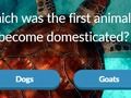 Jeu Anecdotes sur les animaux  en ligne