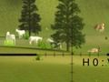 Jeu Chasse au cerf classique  en ligne