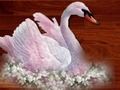 Jeu Puzzle oiseaux d'amour  en ligne