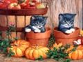 Jeu Peinture d'Halloween  en ligne