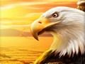 Jeu Aigle  en ligne