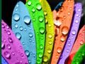 Jeu Couleurs Et Designs  en ligne