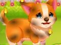 Jeu Animal de sauvetage drôle en ligne