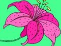 Jeu Couleur heureuse en ligne