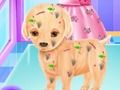 Jeu Chirurgie du bébé Elsa Puppy en ligne Jeu Chirurgie du bébé Elsa Puppy en ligne