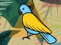 Jeu Coloriage d'oiseaux exotiques  en ligne