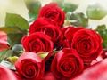 Jeu Roses rouges  en ligne