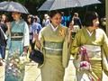 Jeu 100 papillons au Japon  en ligne