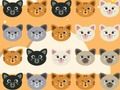 Jeu Matte mignon de chat 3 en ligne