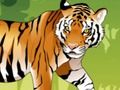 Jeu Coloration du tigre en colère  en ligne