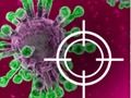 Jeu Détruisez le virus  en ligne